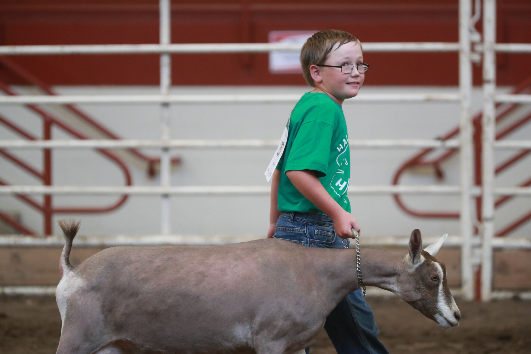 072320_HCFGoatShow011_bjs.JPG
